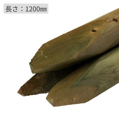 000000000633-01-m.jpg?t=